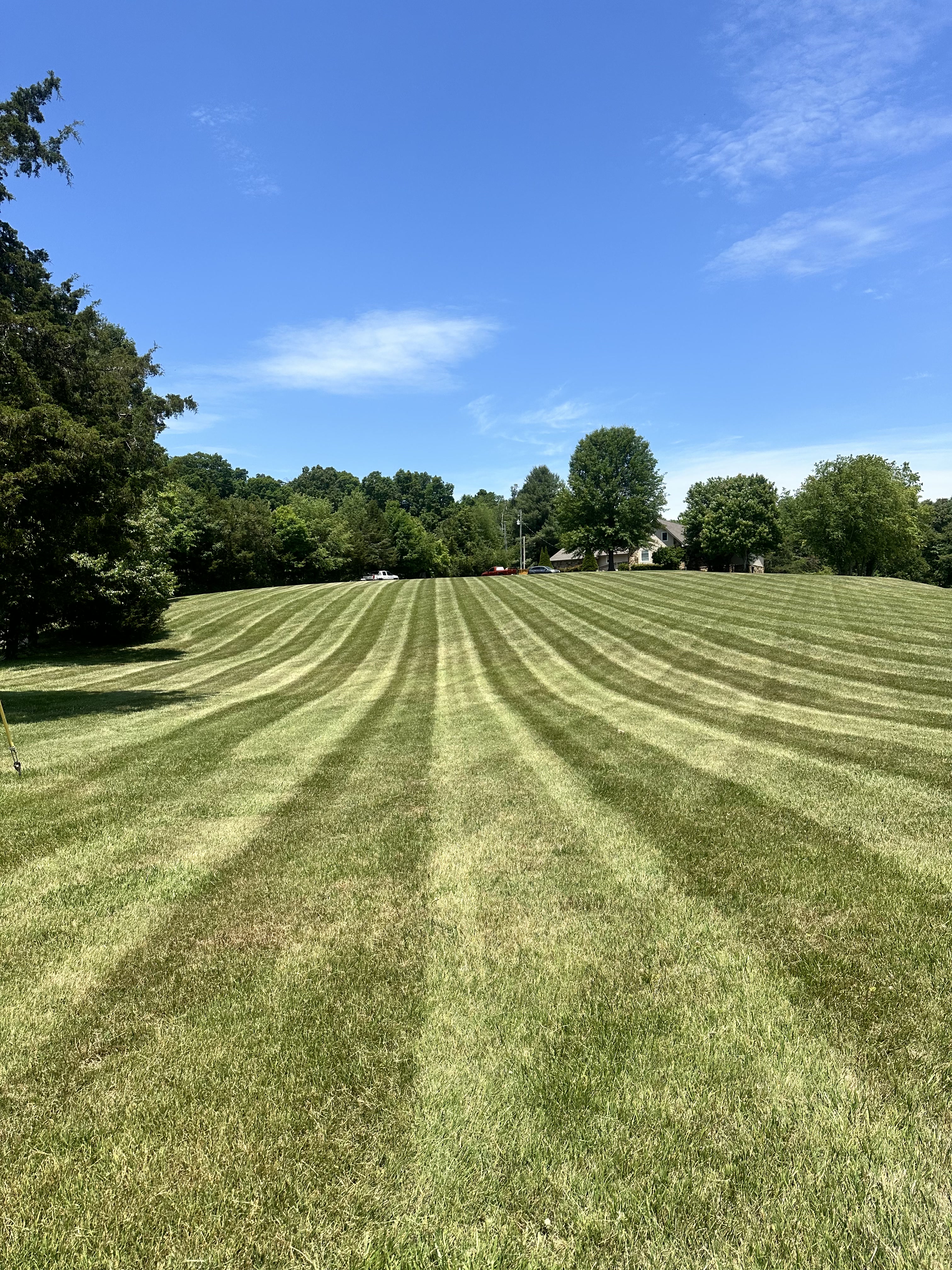 Sod installation Maryville TN